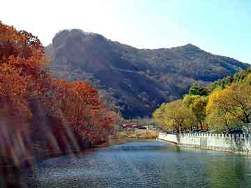 天天彩好彩天天免费，现代都市异能小说